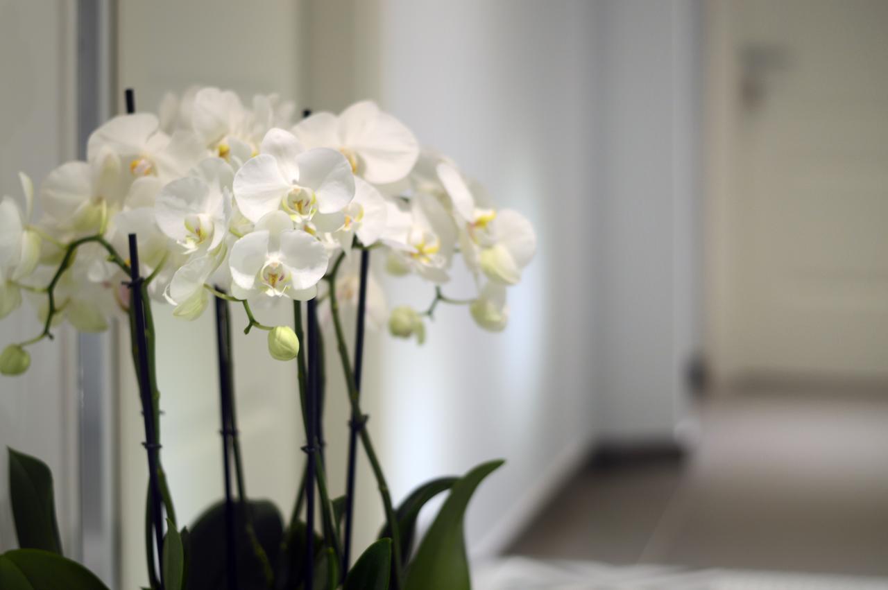 Barbarella Suite Napoli Eksteriør bilde